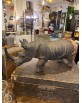 rhino petit