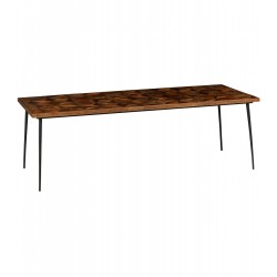 table de repas 240x100x78