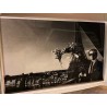 impression crystal David Bowie 55x36