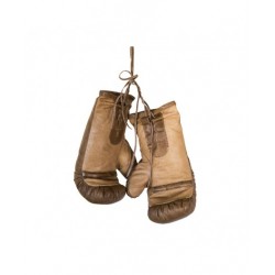 gants de boxe cuir