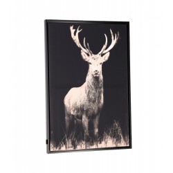 toile cerf 112X180